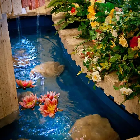 Aerhotel Phelipe Hotel