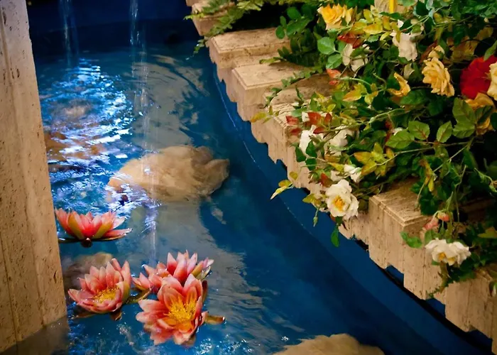 Aerhotel Phelipe Hotel